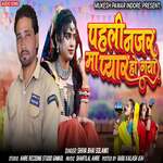 Pehli Nazar Ma Pyar Ho Gaya