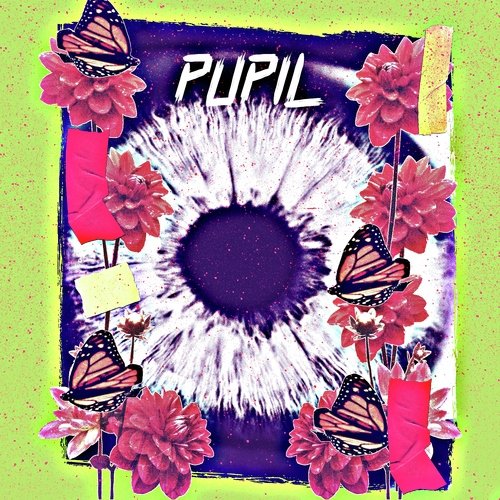 Pupil cover art