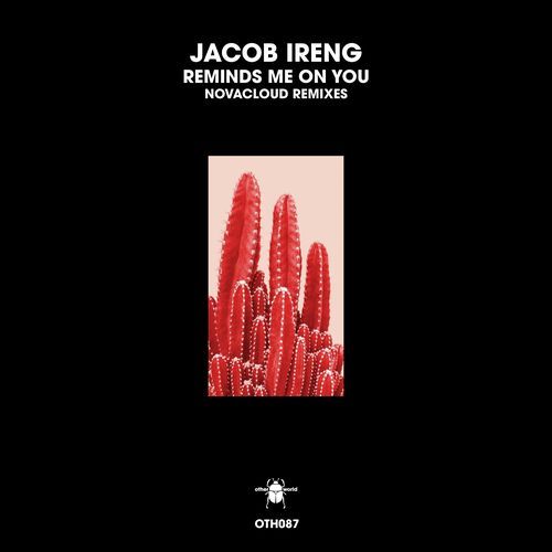 Reminds Me on You (Novacloud Remix) cover art