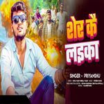 Sher Ke Laika artwork