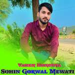Sohin Gorwal Mewati
