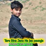 Tere Bina janu jee na paunga