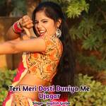 Teri Meri Dosti Duniya Me Ujagar