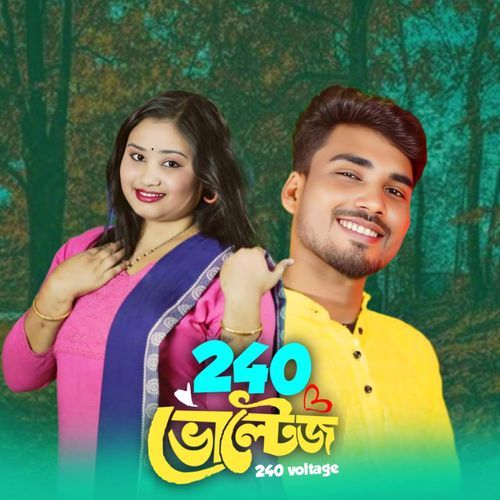 240 ভোল্টেজ