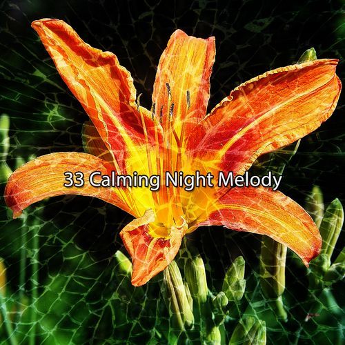 33 Calming Night Melody_poster_image