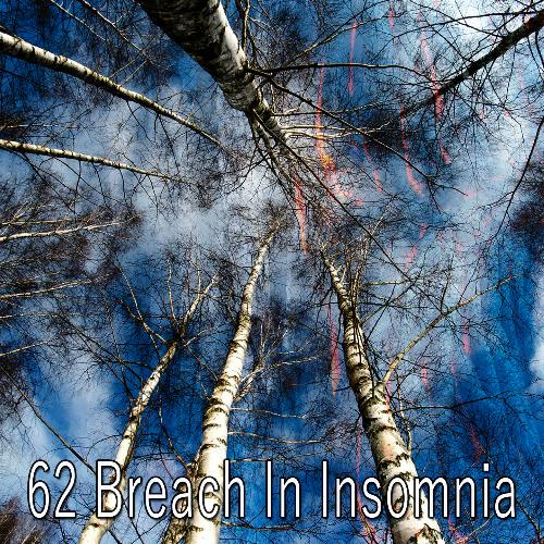 62 Breach in Insomnia