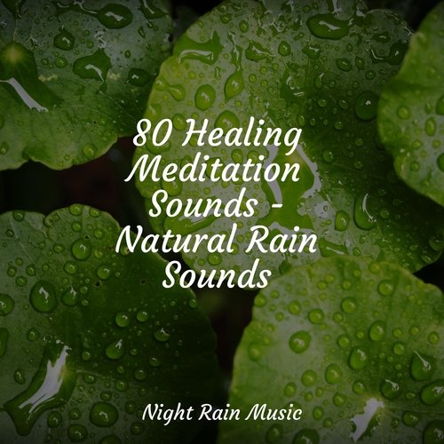 Rain, Storm and Thunder cover art