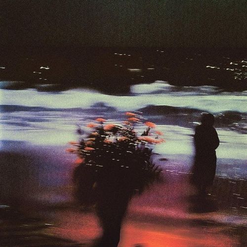 Starlight Blackout cover art