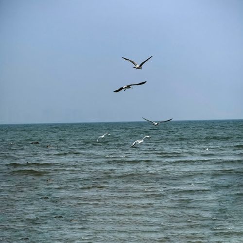 阿婆嗲嗲妈嗲嗲 第18段