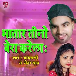 Bhatar Tino Bera karela-BRIveRllYHo