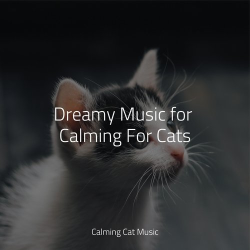 Dreamy Music for Calming For Cats