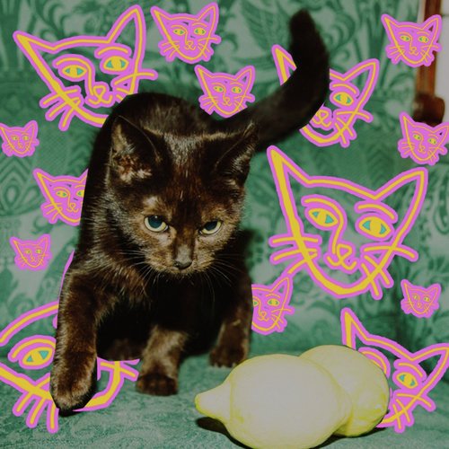 Ricky cover art