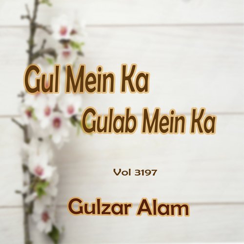 Gul Mein Ka Gulab Mein Ka, Vol. 3197