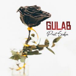 Gulab-HicRcDJUUEs