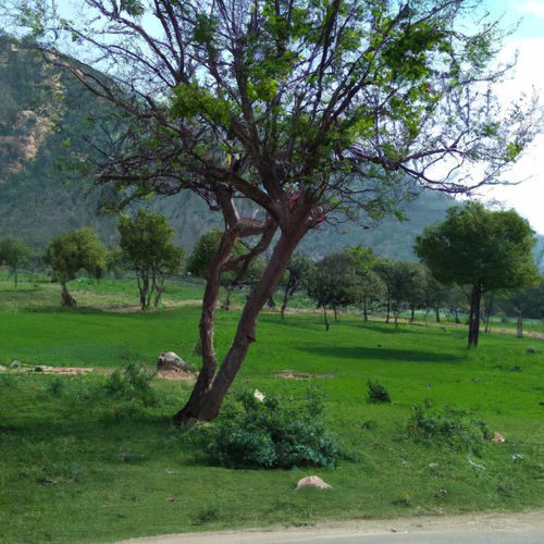 bharam