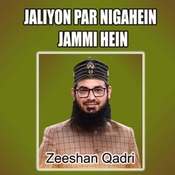 Jaliyon Par Nigahein Jammi Hein