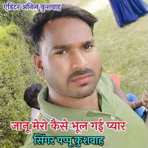 Janu mero kese bhul gayi pyar