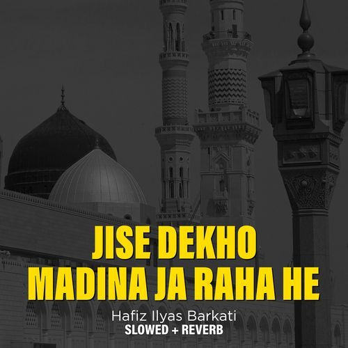 Jise Dekho Madina Ja Raha He (Lofi-Mix)