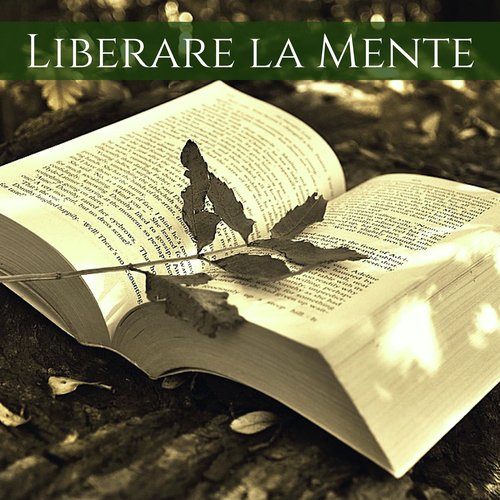 Meditazione Asiatica cover art