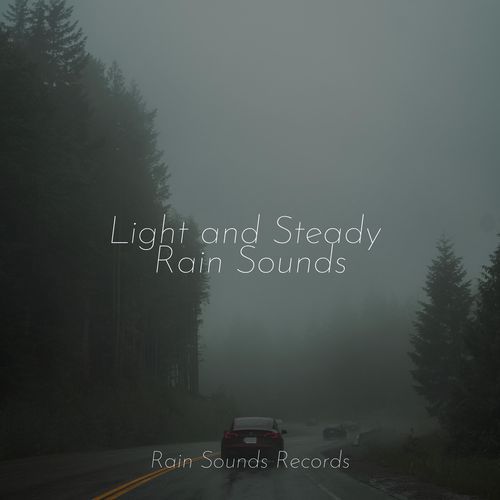 Light and Steady Rain Sounds