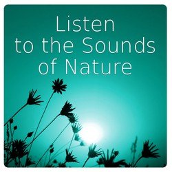 Listen to the Sounds of Nature - Relax & Enjoy Your Life, Calm Down with Nature Sounds and Live the Moment, Appreciate Life and Be Happy