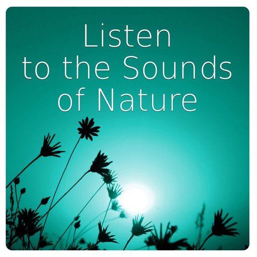 Relaxing Nature Sounds Collection