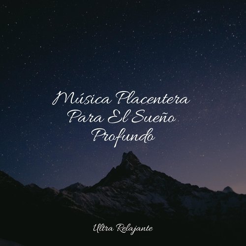 Música Placentera Para El Sueño Profundo_poster_image