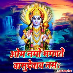 Om Namo Bhagavate Vasudevaya Namah-RQY-cDBCUFE