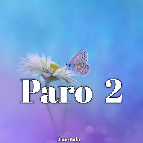 Paro 2