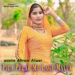 Pila Pelar Me Lage Maluk