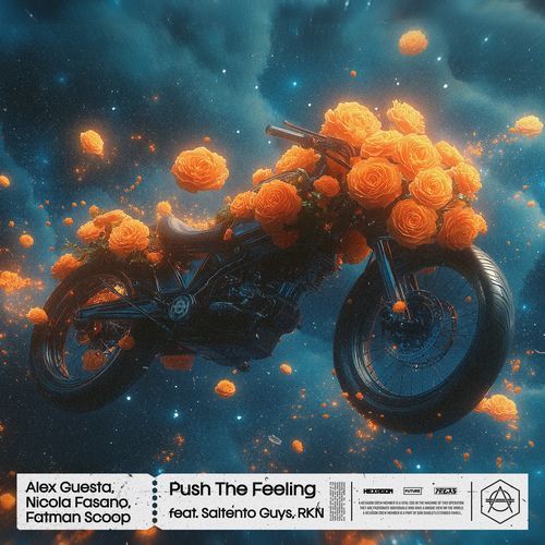 Push The Feeling_poster_image