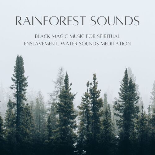 White Noise Ambient cover art
