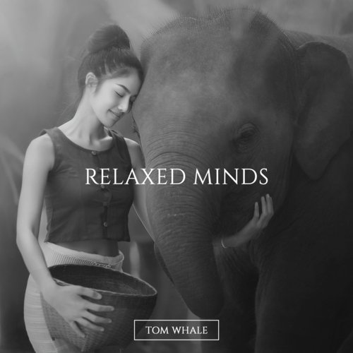 Relaxed Minds cover art