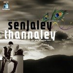 Senjaley Thannaley