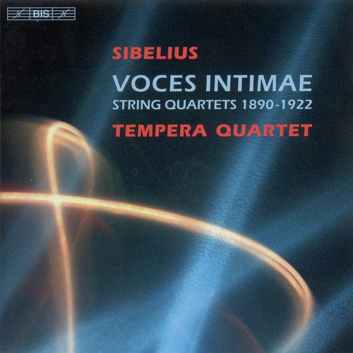 String Quartet in D Minor, Op. 56 "Voces intimae": I. Andante - Allegro molto moderato