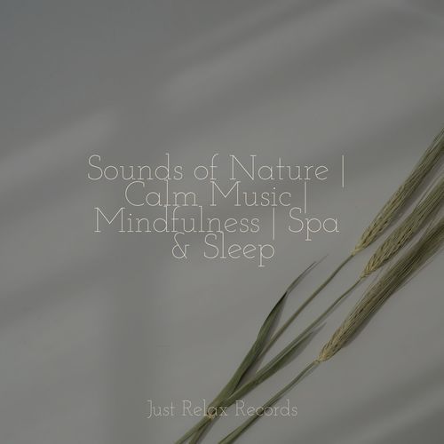 Sounds of Nature | Calm Music | Mindfulness | Spa & Sleep