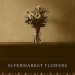 Supermarket Flowers (Piano Version)
