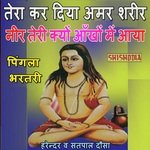 Tera Kar Diya Amar Shareer Neer Teri