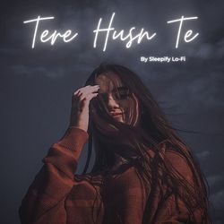 Tere Husn Te