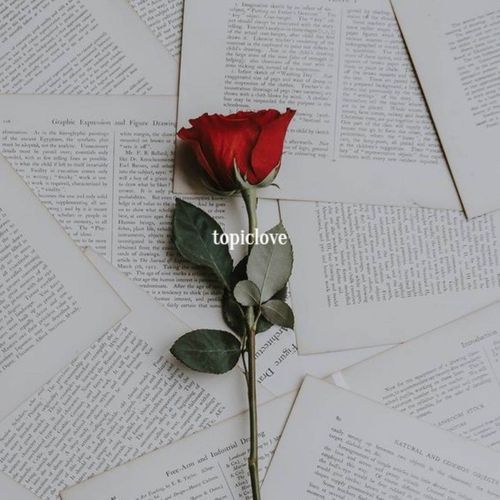 Topiclove cover art
