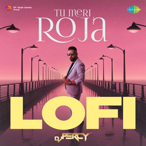 Tu Meri Roja - Lofi