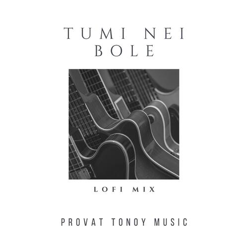 Tumi Nei Bole_poster_image