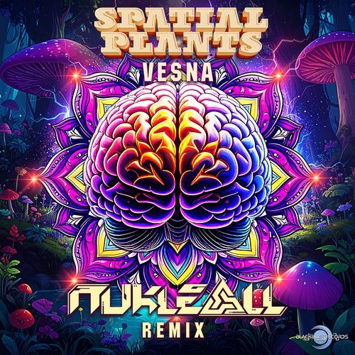 Vesna (Nukleall Remix)