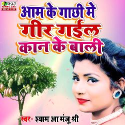 aam ke gachi me gir gayil kan ke bali