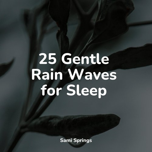 Rain, Storm and Thunder cover art