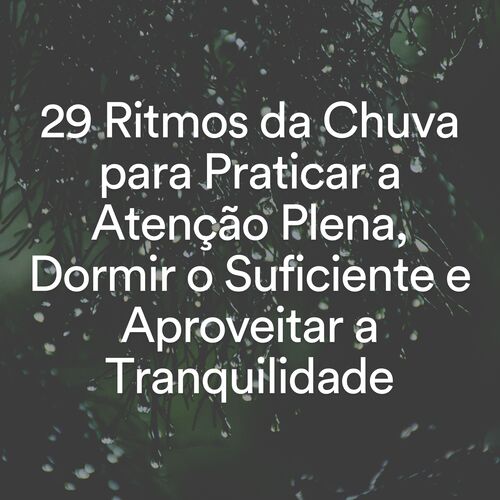 29 Ritmos da Chuva para Praticar a Atenção Plena, Dormir o Suficiente e Aproveitar a Tranquilidade_poster_image