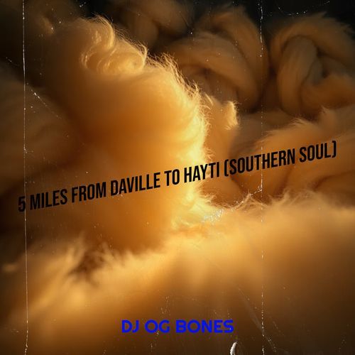 5 Miles from DaVille to Hayti (Southern Soul) cover art