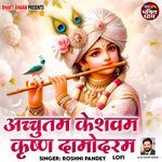 Achyutam Keshavam Krishna Damodaram - Lofi