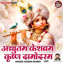 Achyutam Keshavam Krishna Damodaram - Lofi