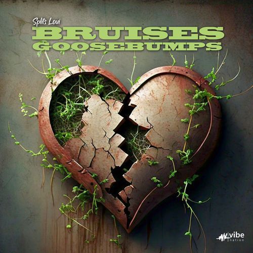 Bruises n Goosebumps cover art